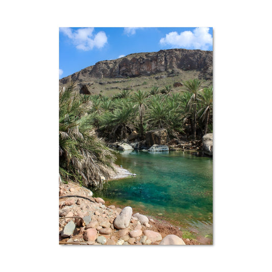 Poster Oasis Rocailleuse