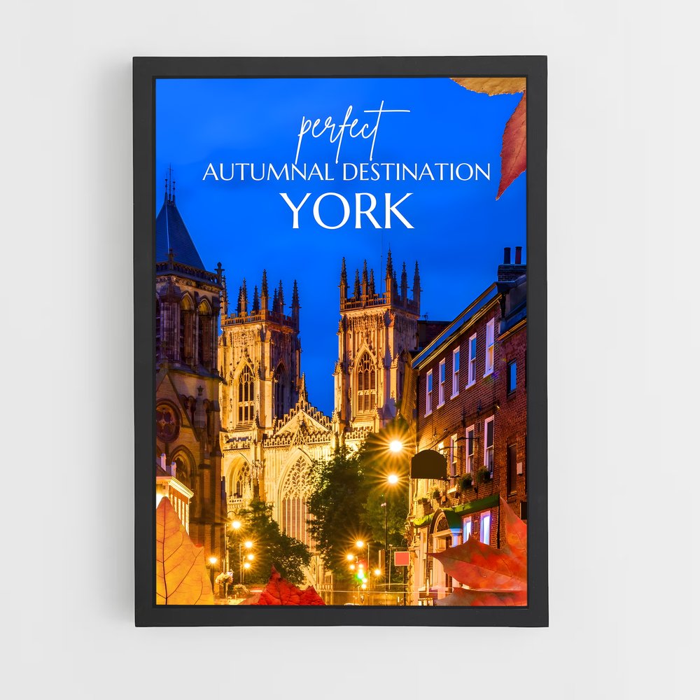 ap-york minster-6 cadre Noir