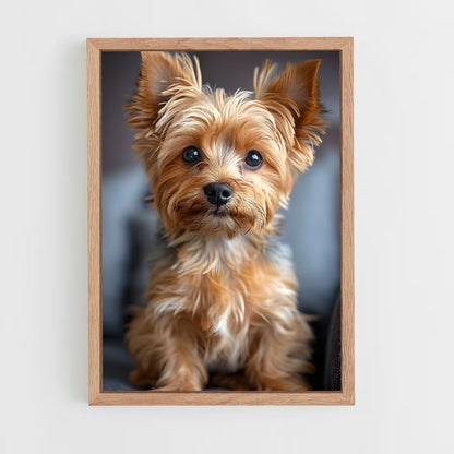 ap-yorkshire terrier-2 cadre Bois clair