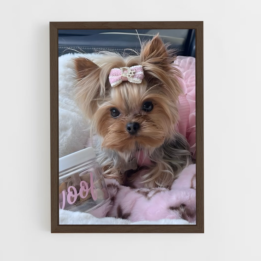 ap-yorkshire terrier-4 cadre Bois foncé