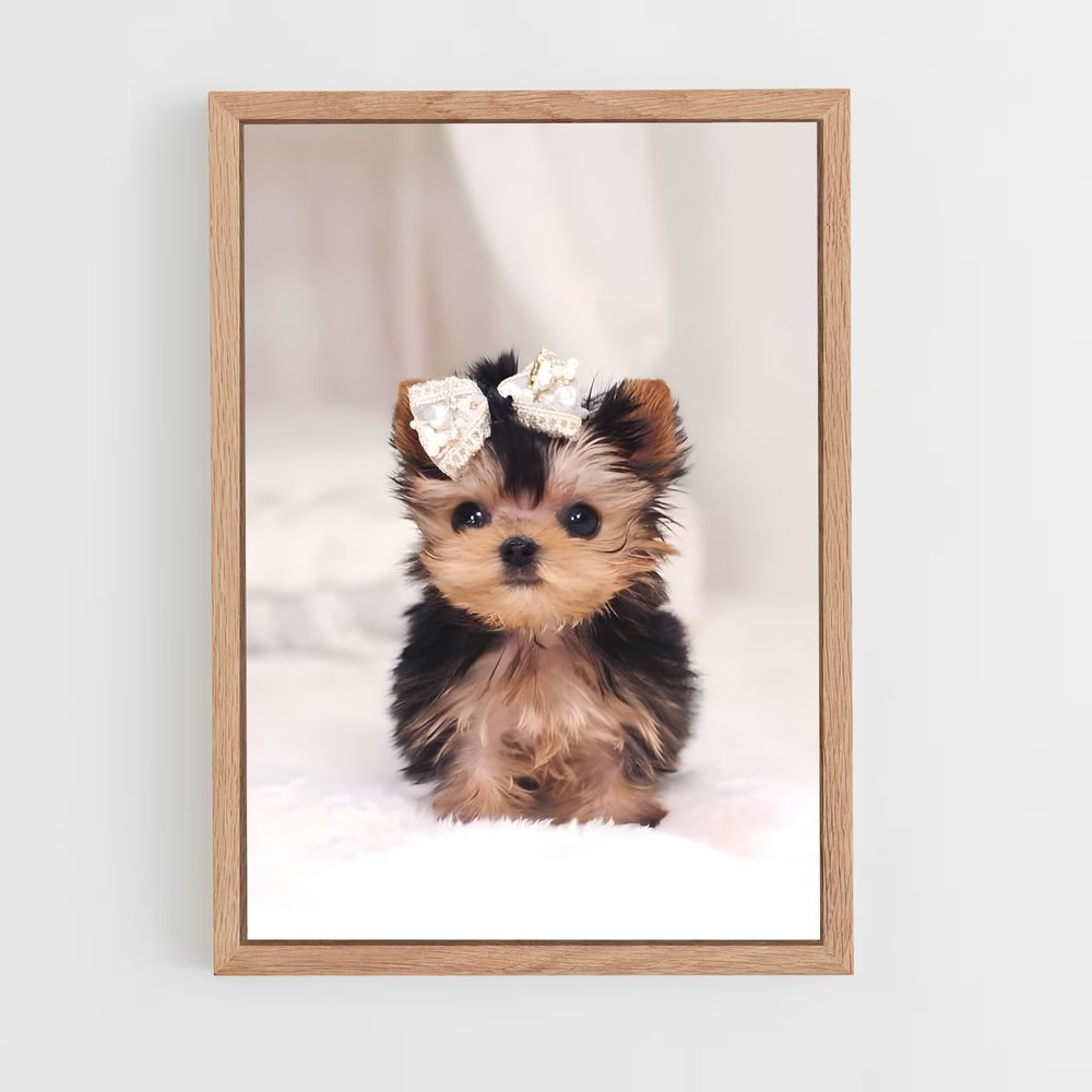 ap-yorkshire terrier-6 cadre Bois clair