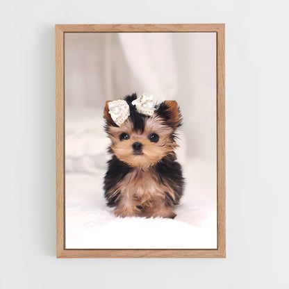 ap-yorkshire terrier-6 cadre Bois clair