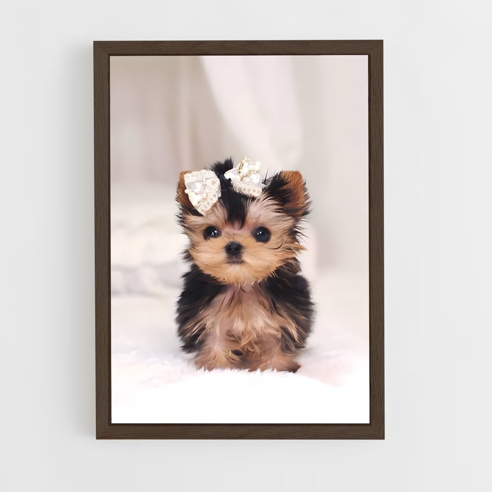 ap-yorkshire terrier-6 cadre Bois foncé