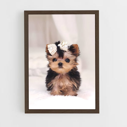 ap-yorkshire terrier-6 cadre Bois foncé