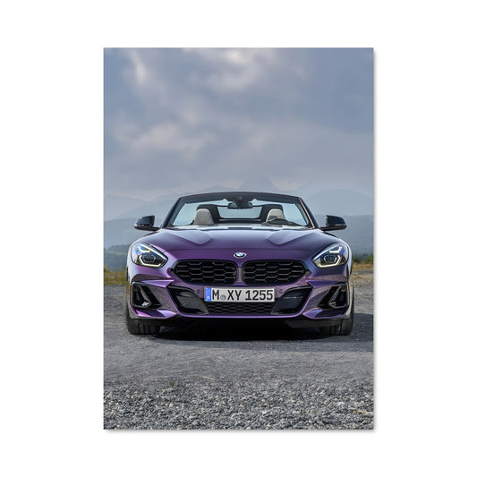Poster Aston Vibes