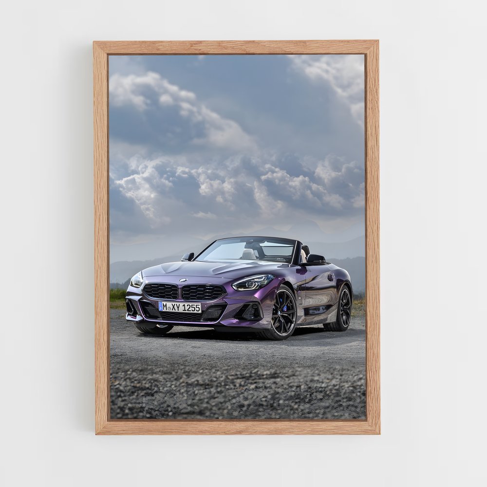 ap-z4 m40i-1 cadre Bois clair