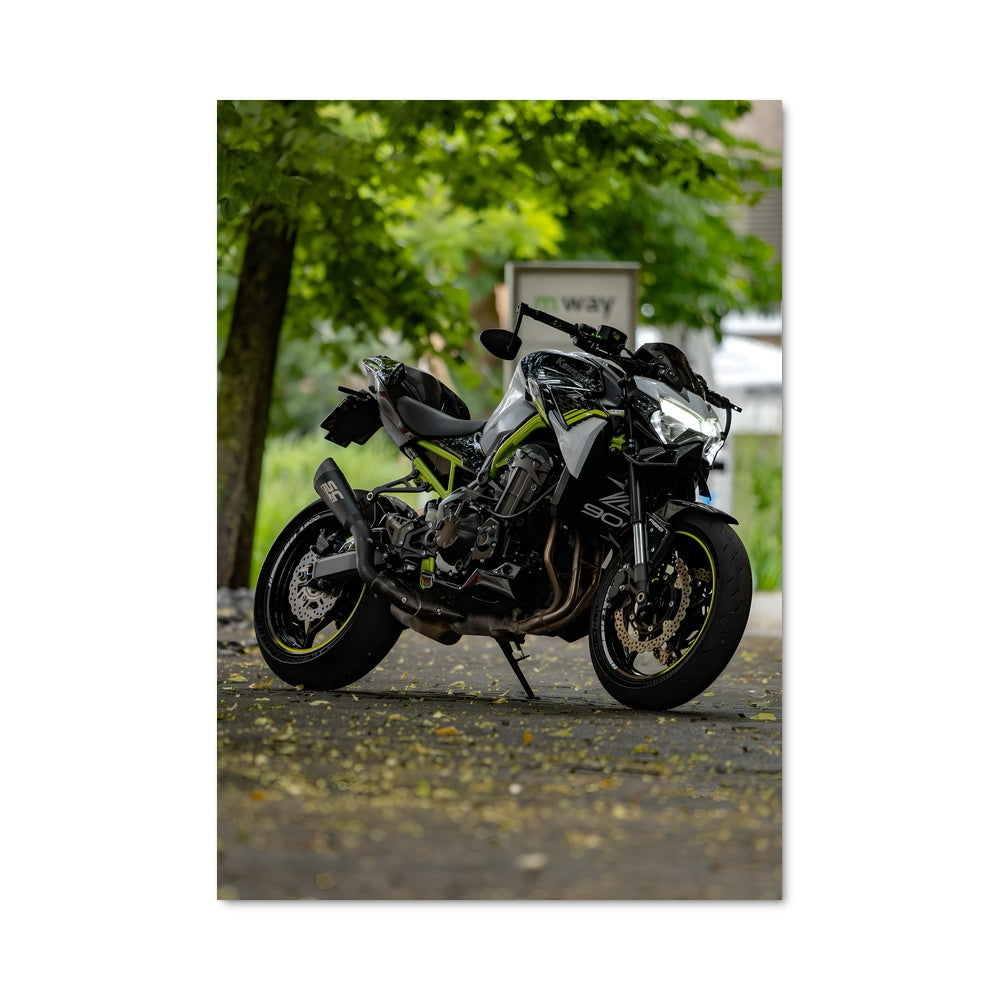 Poster Roadster Dreams