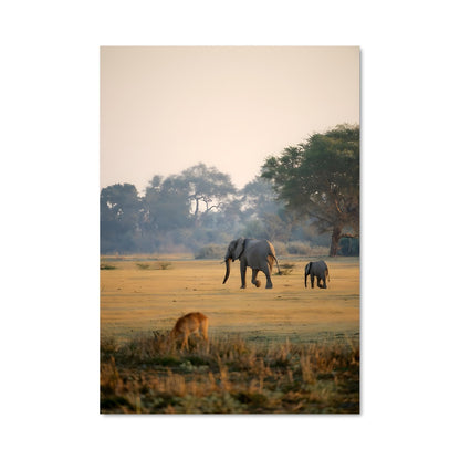 Poster Éléphants en Liberté