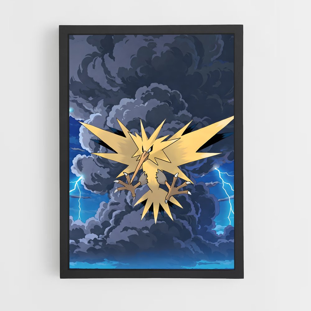 ap-zapdos-6 cadre Noir