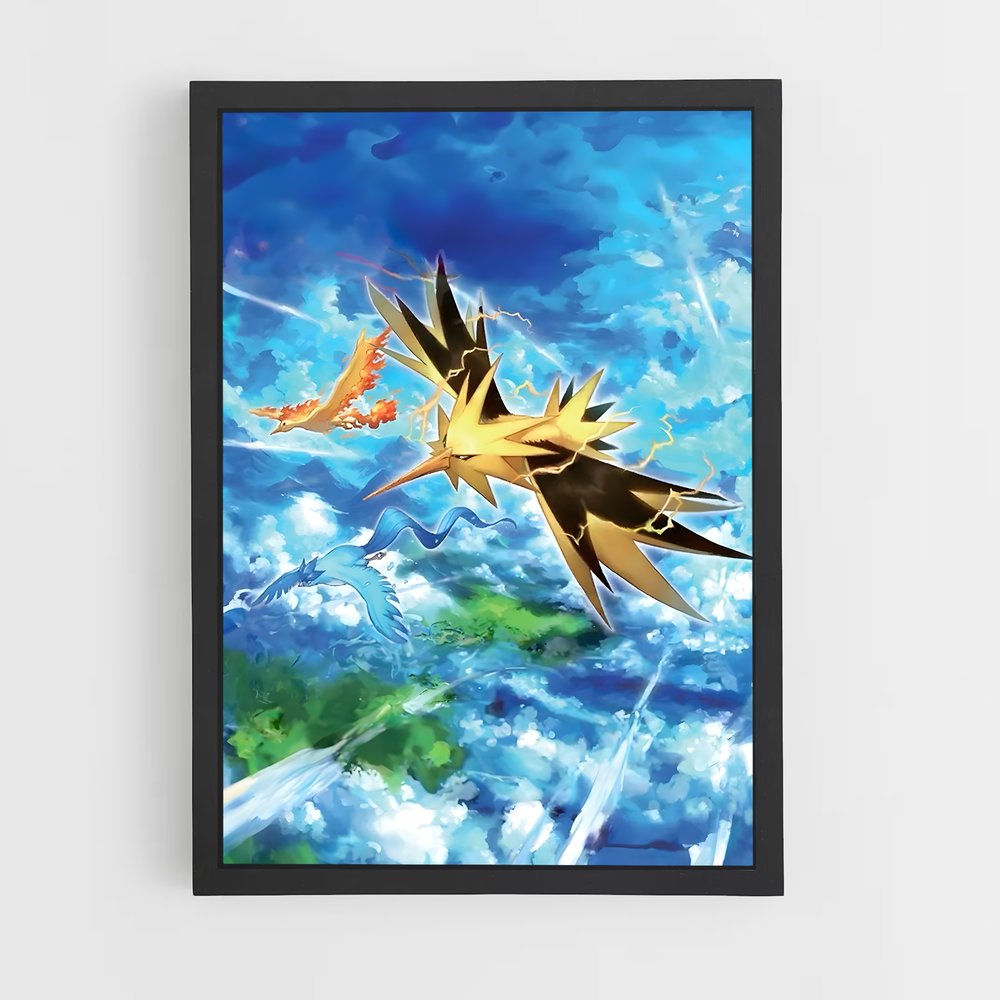 ap-zapdos-7 cadre Noir