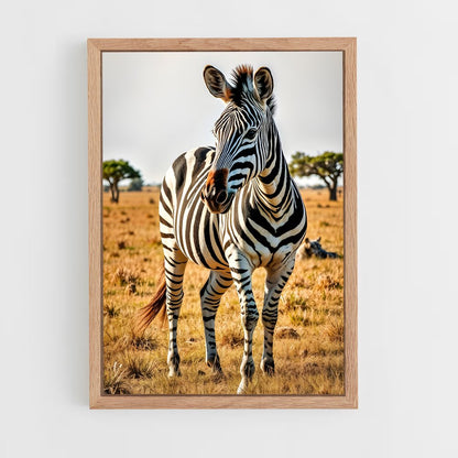 ap-zebra-3 cadre Bois clair