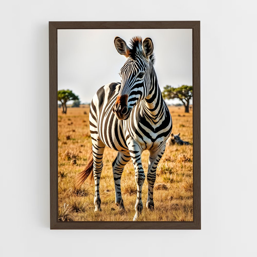 ap-zebra-3 cadre Bois foncé
