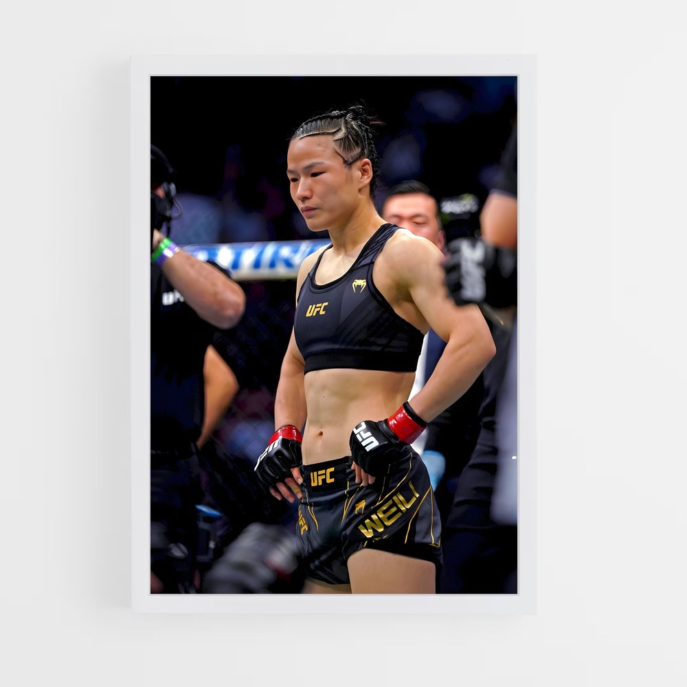 ap-zhang weili-5 cadre Blanc