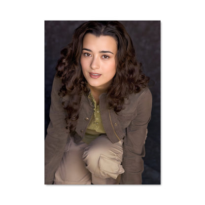 Poster Ziva david 37977