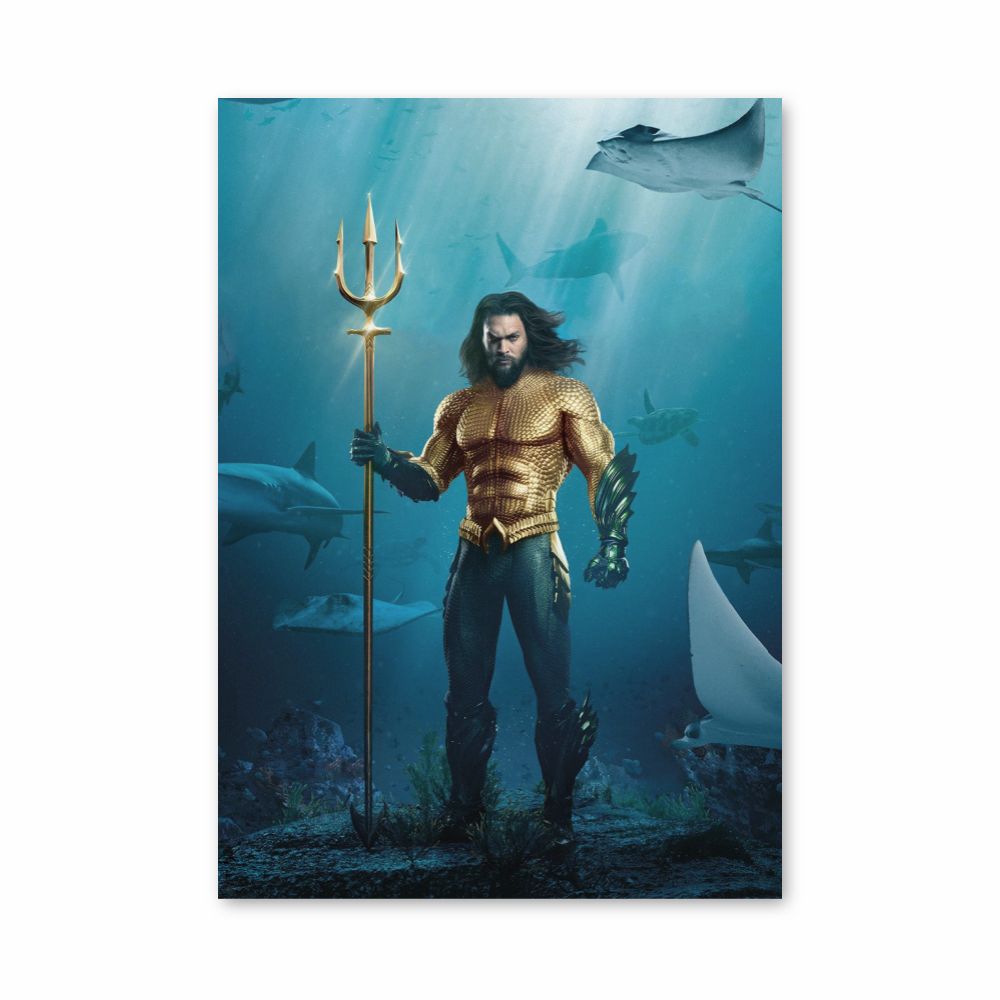 Disfraz de Aquaman Póster