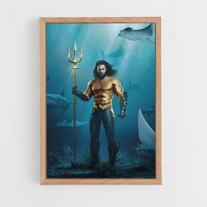 Disfraz de Aquaman Póster