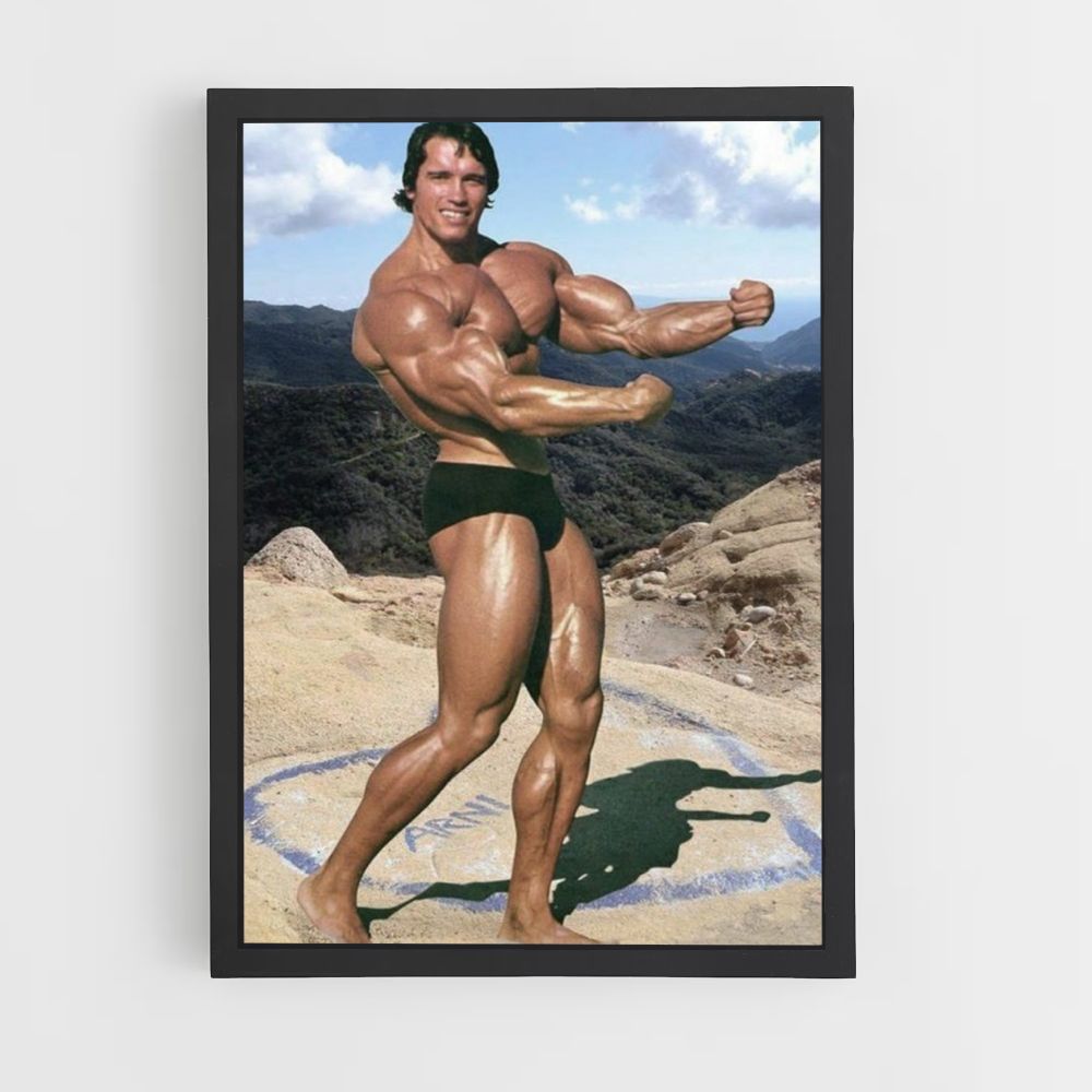 Póster Arnold Schwarzenegger