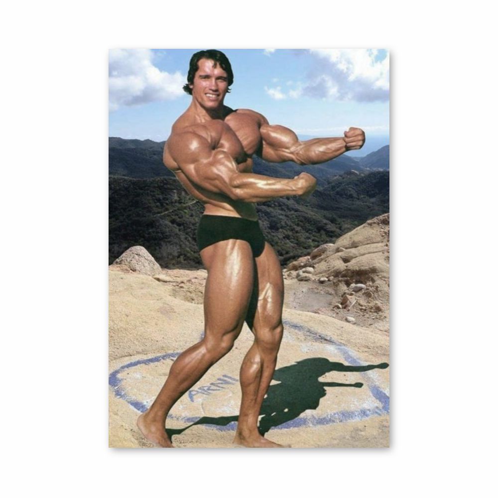 Póster Arnold Schwarzenegger