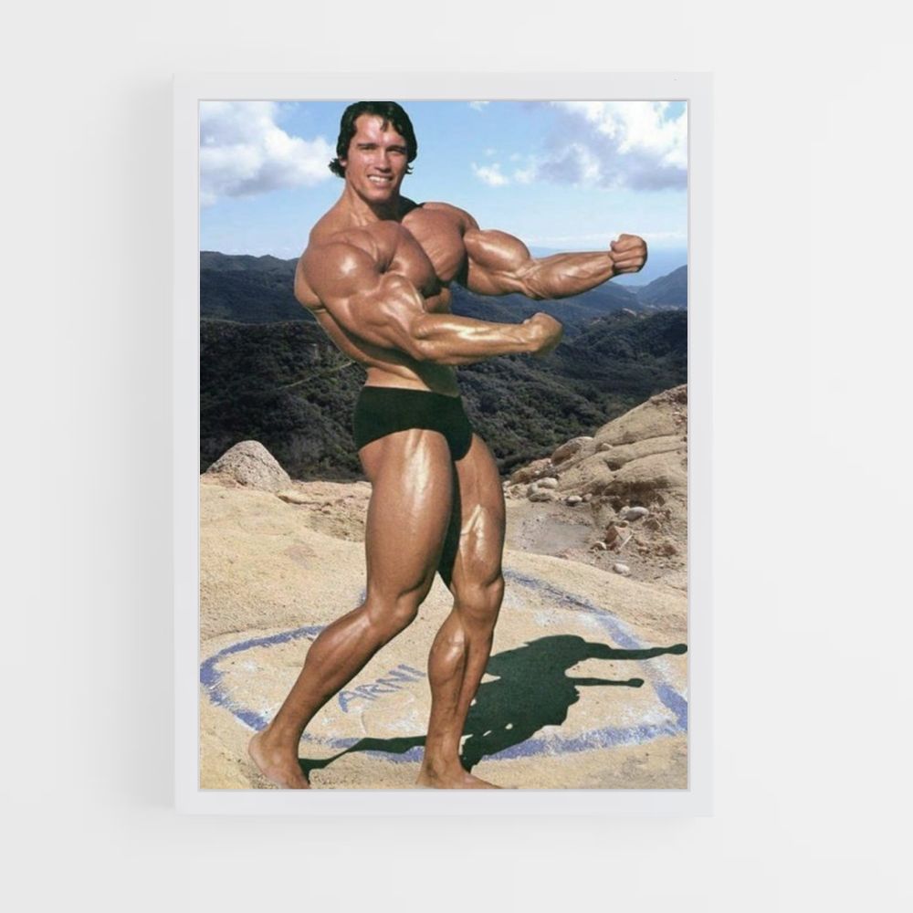 Póster Arnold Schwarzenegger