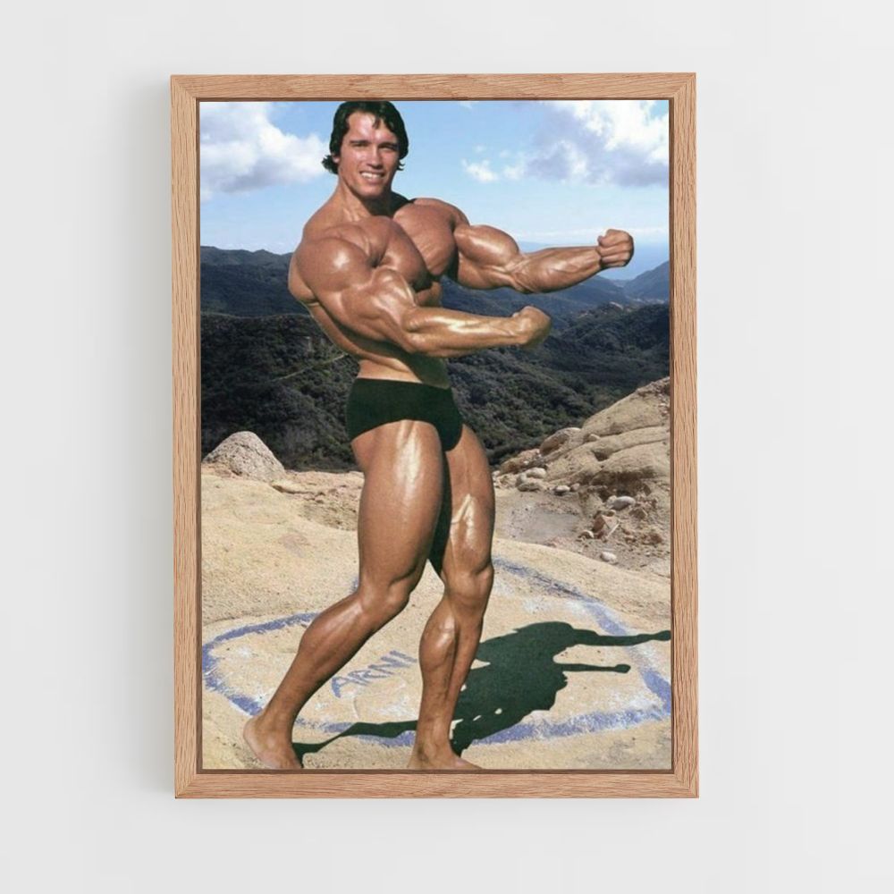 Póster Arnold Schwarzenegger