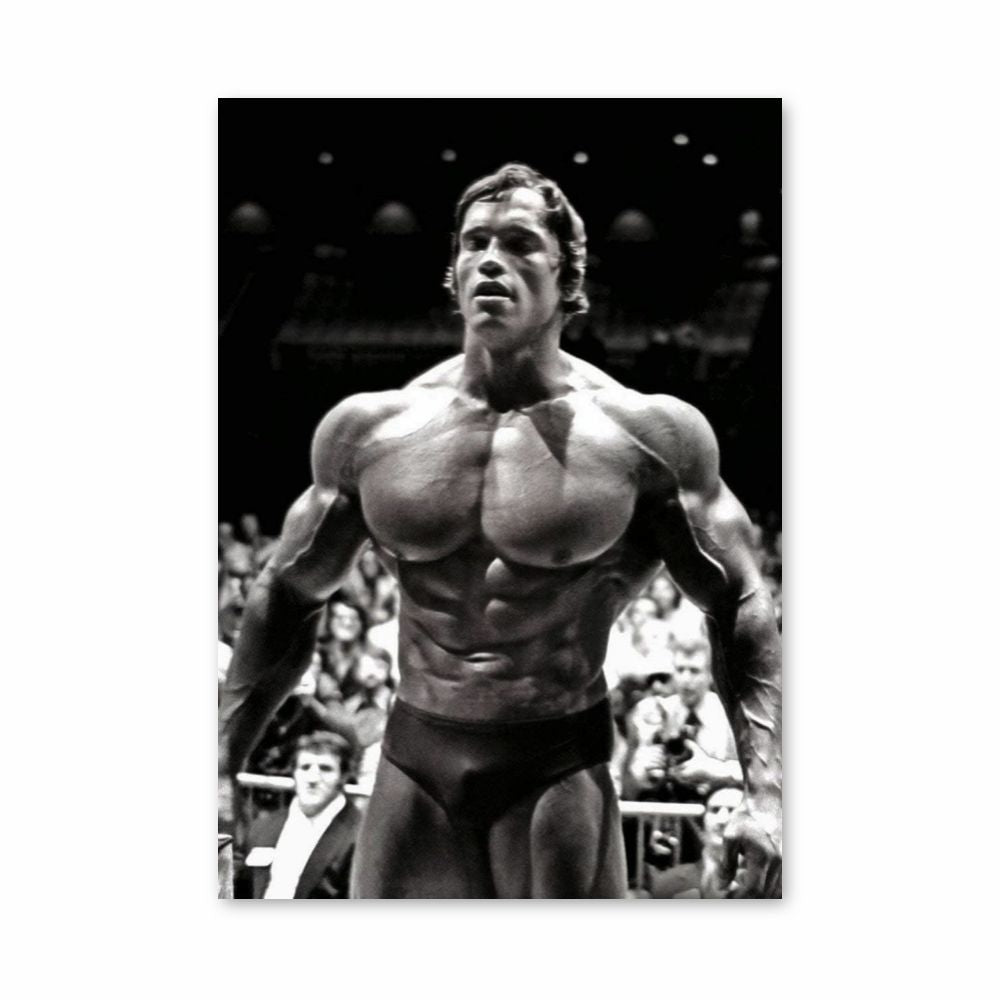 Cartel Concurso Arnold