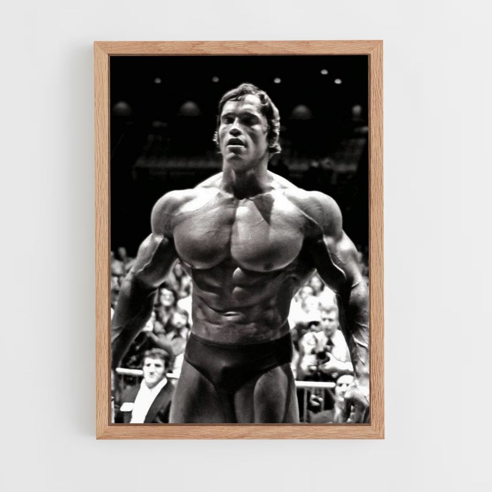 Cartel Concurso Arnold