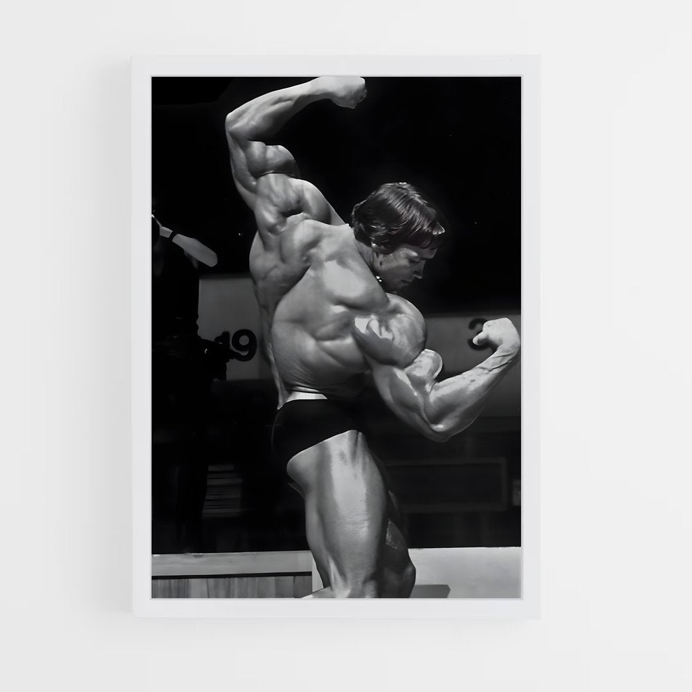 arnold-4 cadre Blanc