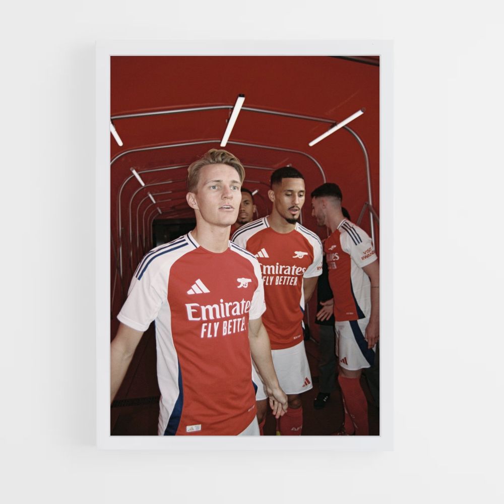 Póster Entrada al Arsenal