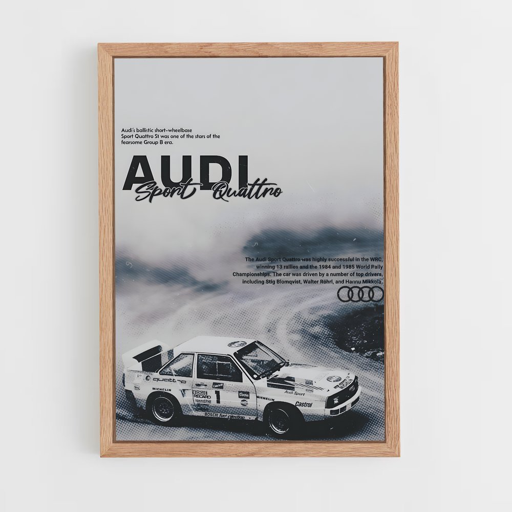 audi-5 cadre Bois clair