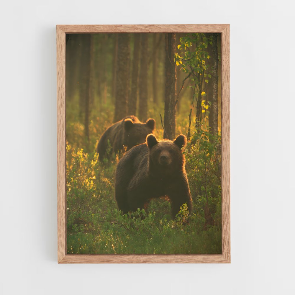 bear-5 cadre Bois clair