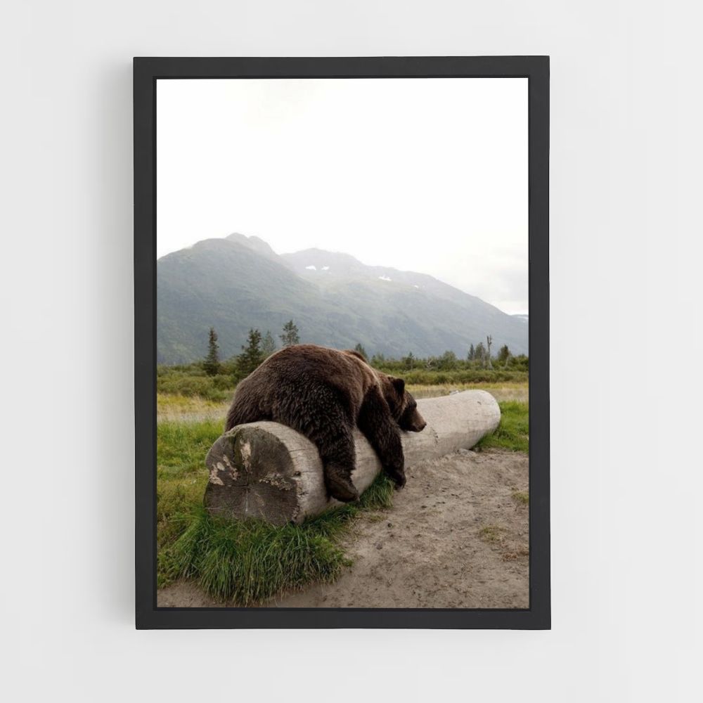 Oso grizzly Póster