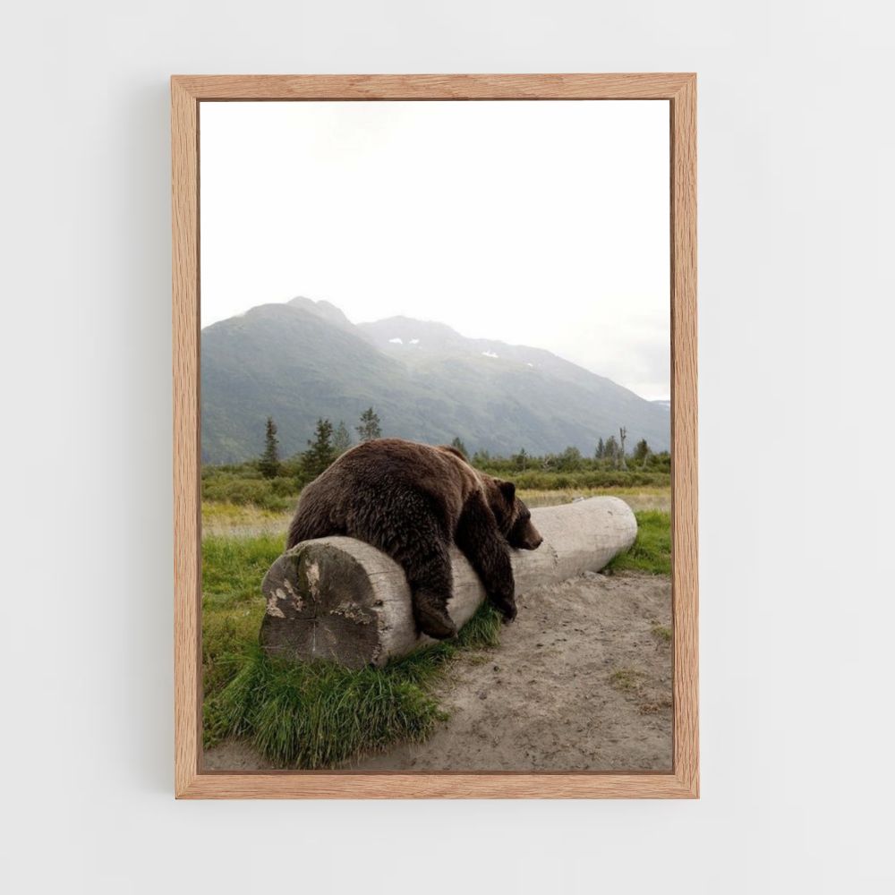 Oso grizzly Póster