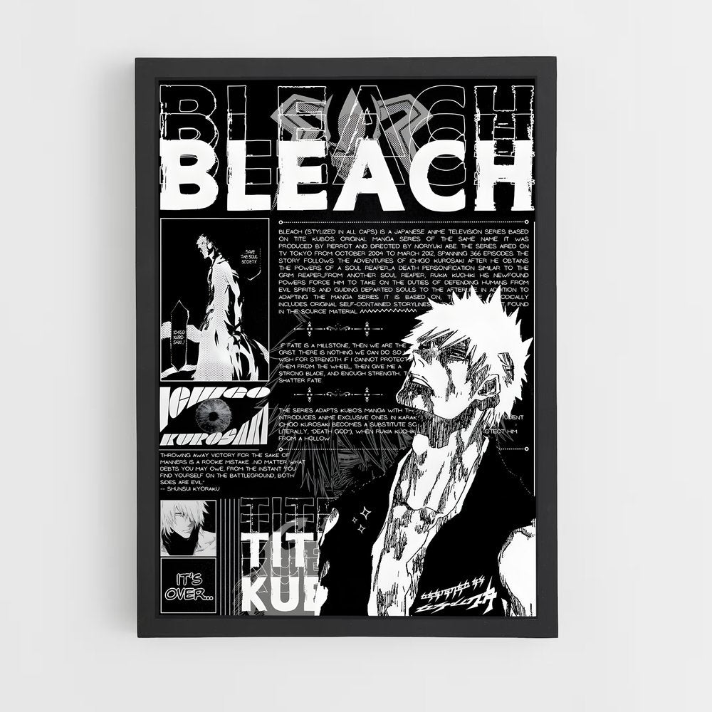 bleach-4 cadre Noir