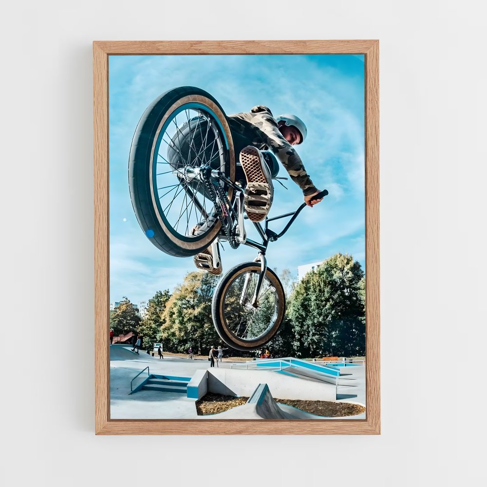 bmx-6 cadre Bois clair