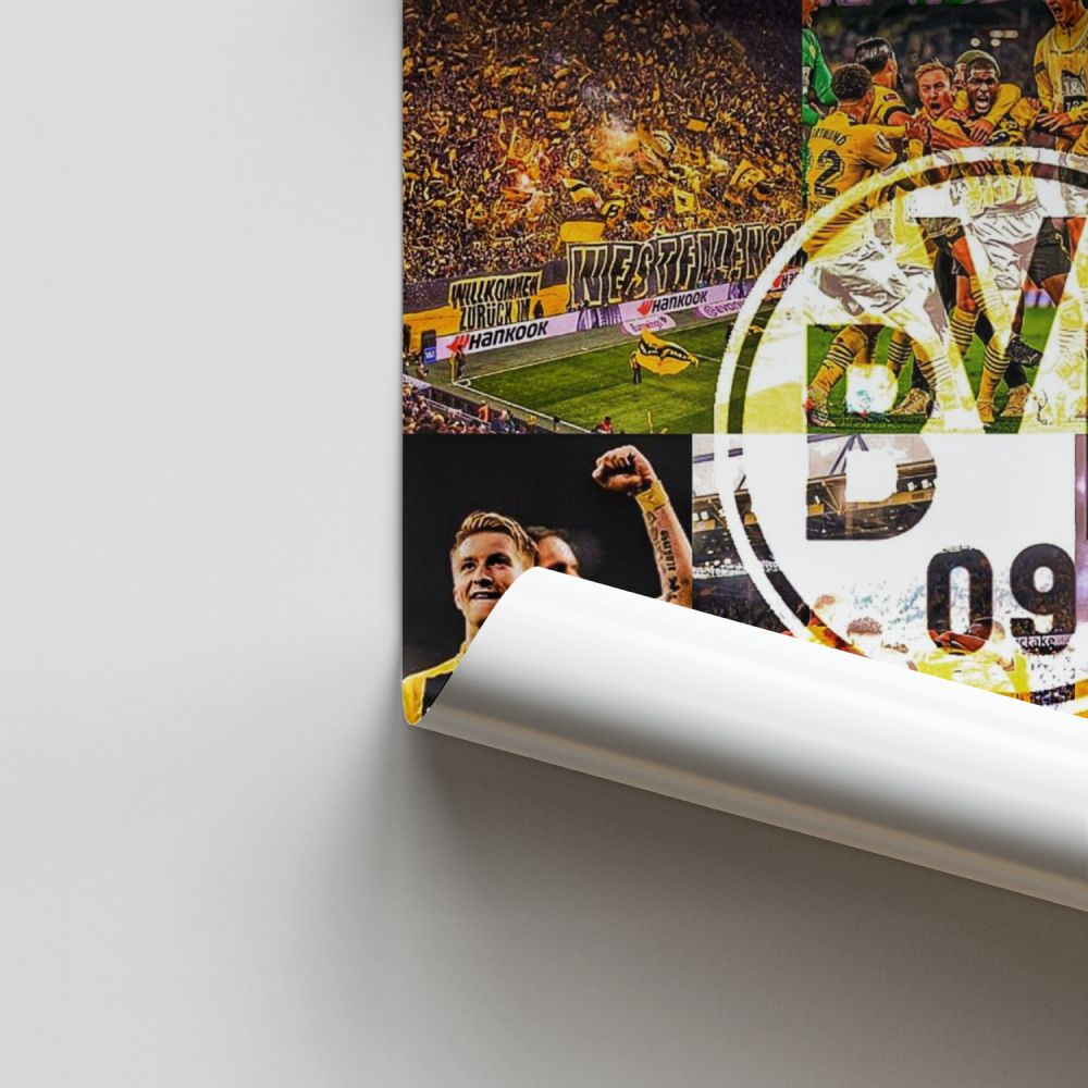 Póster BVB 09