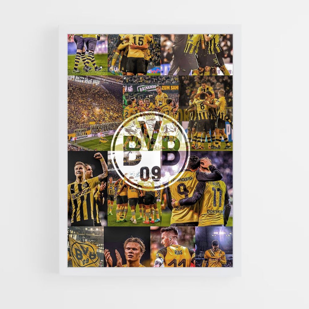 Póster BVB 09