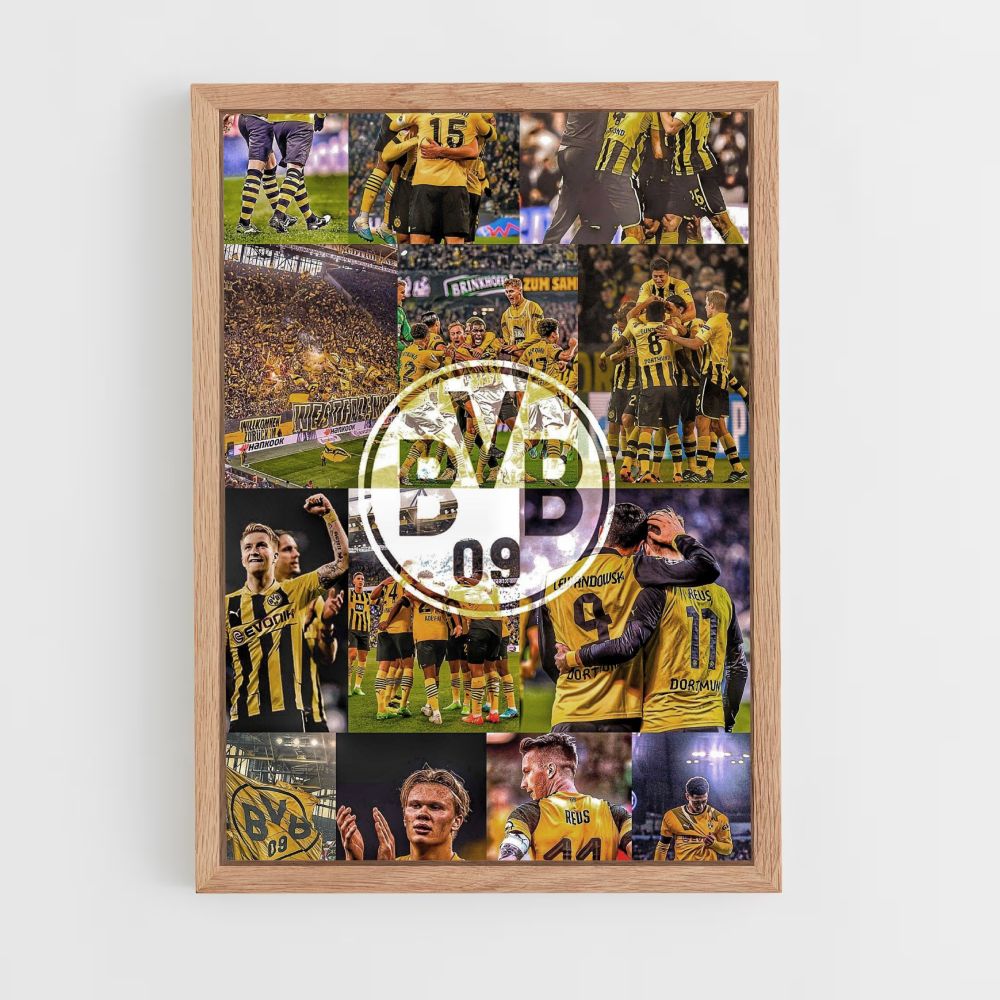 Póster BVB 09