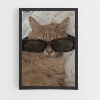 Gafas de gato Póster