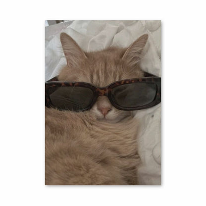 Gafas de gato Póster