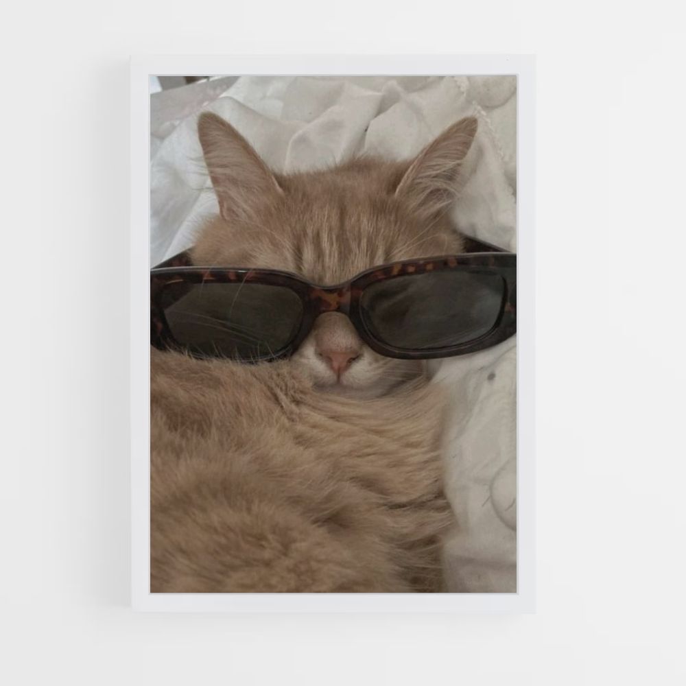 Gafas de gato Póster