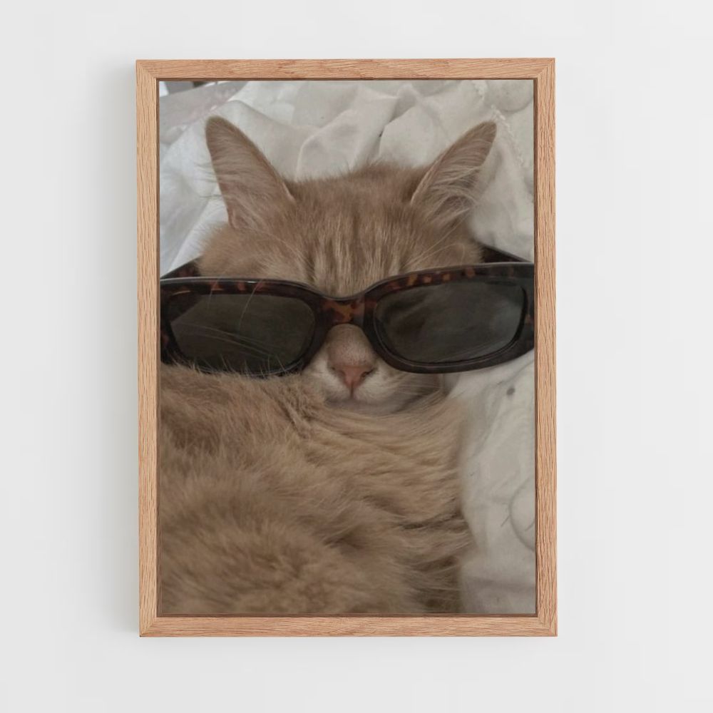 Gafas de gato Póster