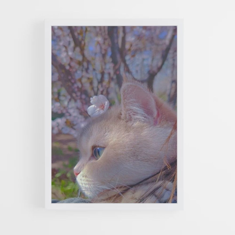 Gato Sakura Póster