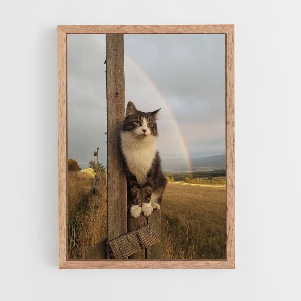 Gato arcoiris Póster