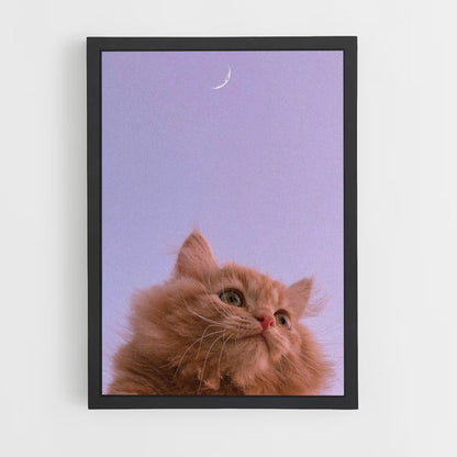 Póster Gato Luna