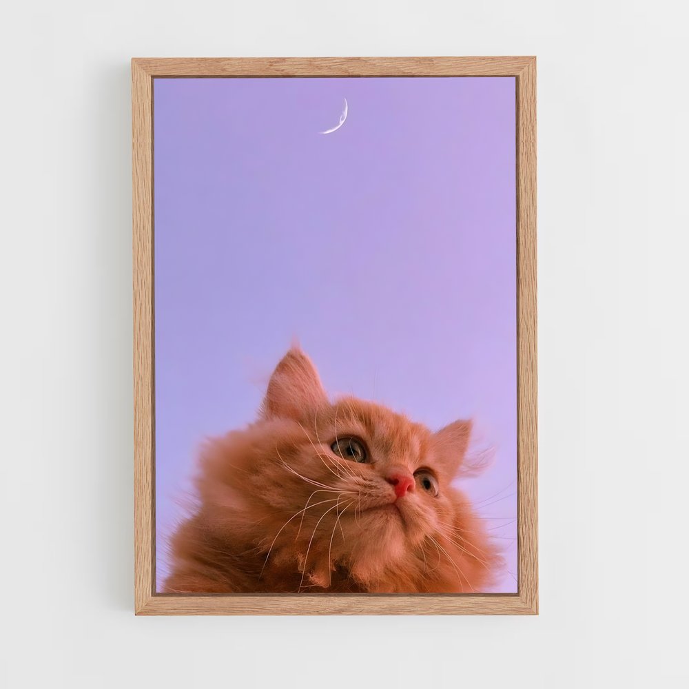 cat-5 cadre Bois clair