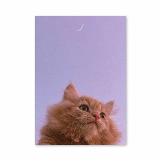 Póster Gato Luna