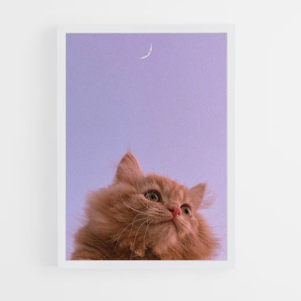 Póster Gato Luna