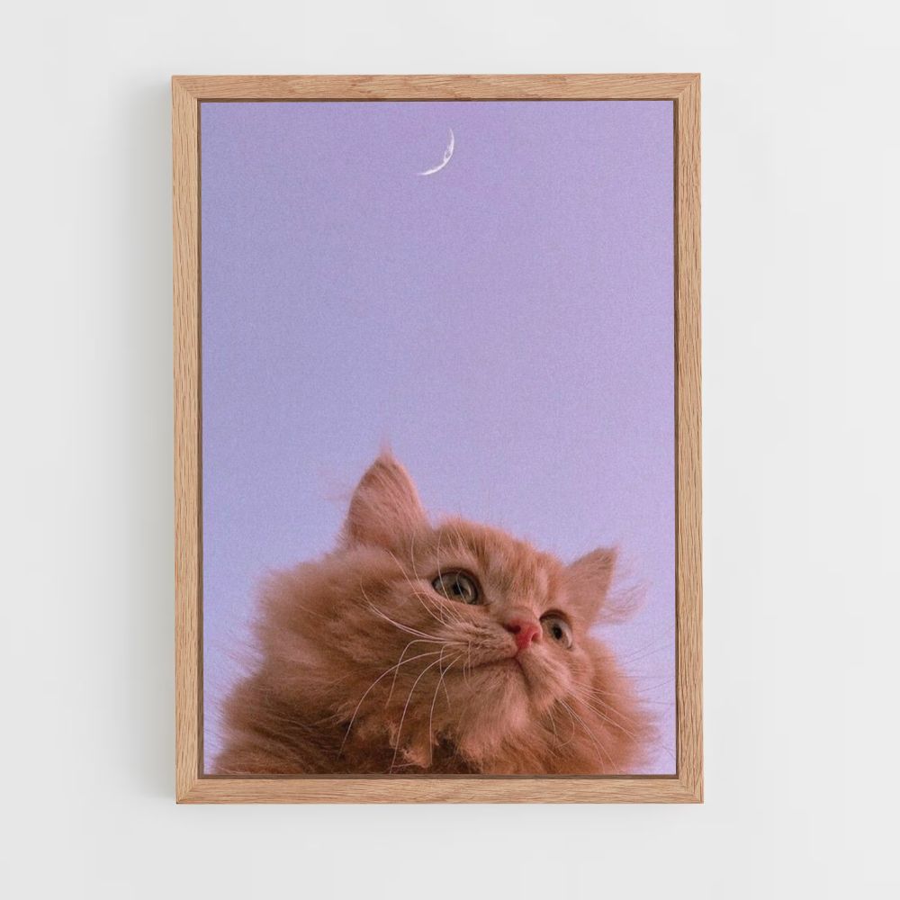 Póster Gato Luna