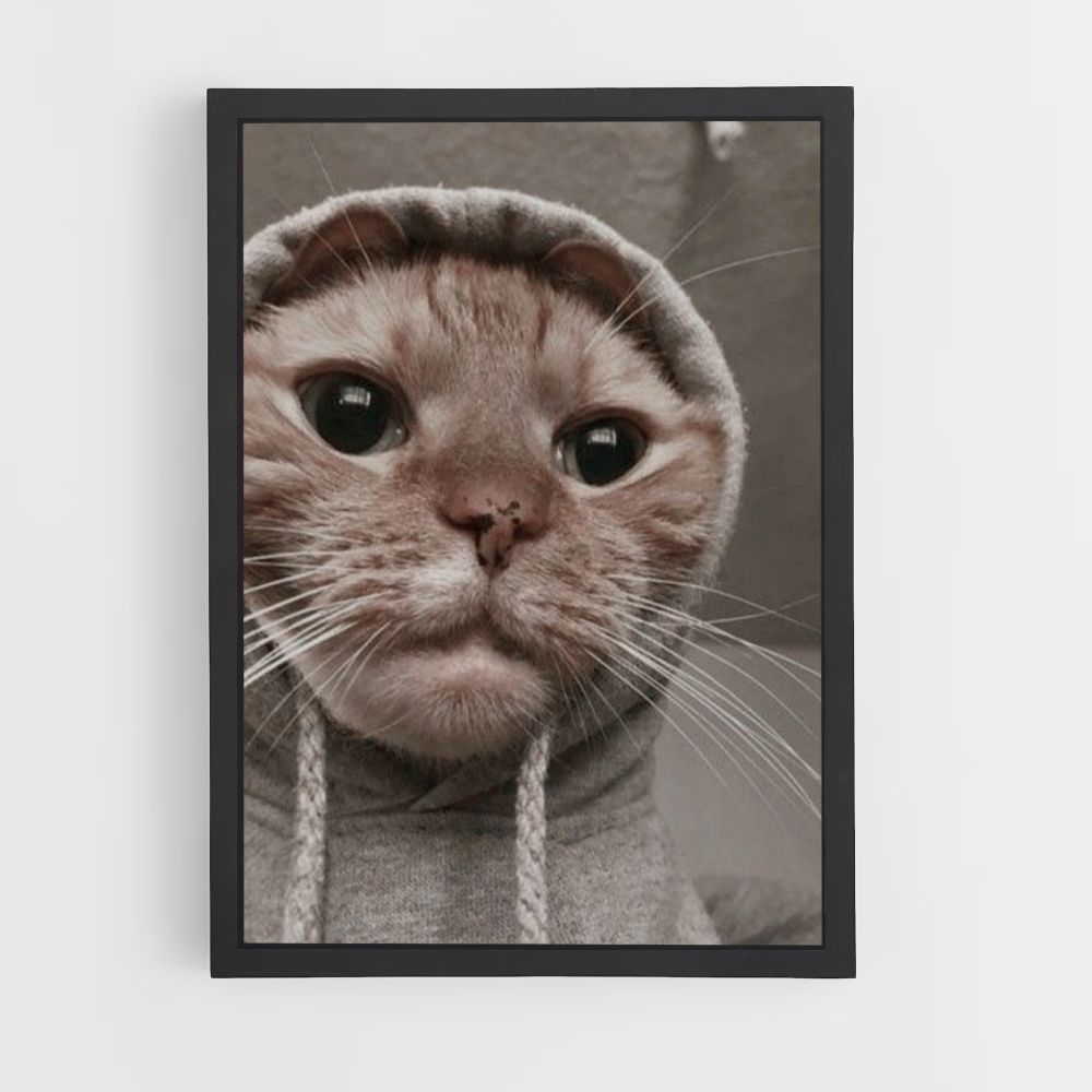 Gato gracioso Póster