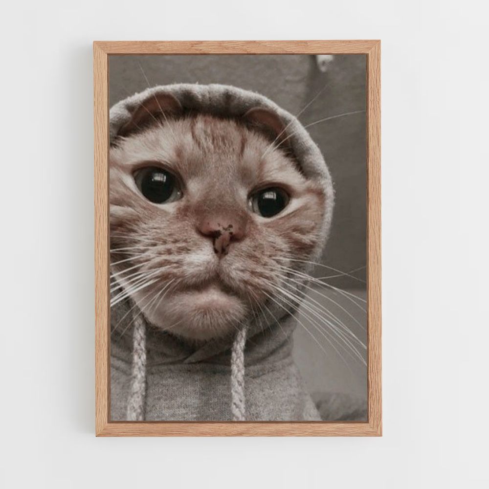 Gato gracioso Póster